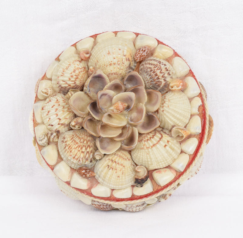 Vintage Seashell Round Jewelry Trinket Box