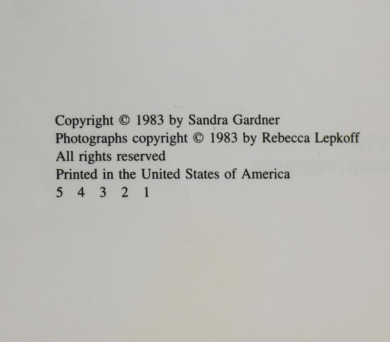 1983 Street Gangs by Sandra Gardner Hardcover Book