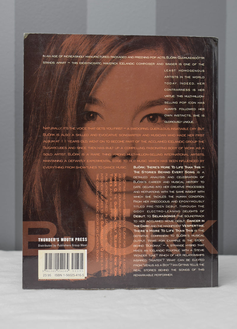 2002 Bjork There's More to Life than This: The Stories Behind Every Song by Ian Gittins Paperback Book