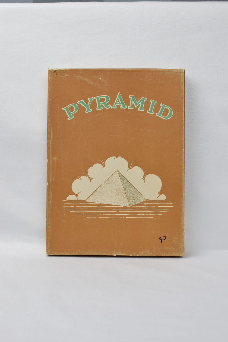 Vintage Pyramid Nylon Stocking Brown Empty Box